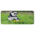 thumbnail image 1 of Alaskan Malamute Kitchen Mat, Little Puppy Playing on Green Grass Spring Meadow Natural Life Outdoors, Plush Decorative Kitchen Mat with Non Slip Backing, 47" X 19", Multicolor, by Ambesonne, 1 of 1