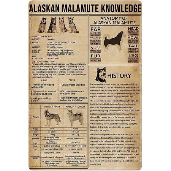 Alaskan Malamute Knowledge Metal Signs Wall Decor Room Decor Anatomical History Retro Posters Home Club Educational Printing Plaque Patio Country Porch Lawn Size: 12 x 16 inch