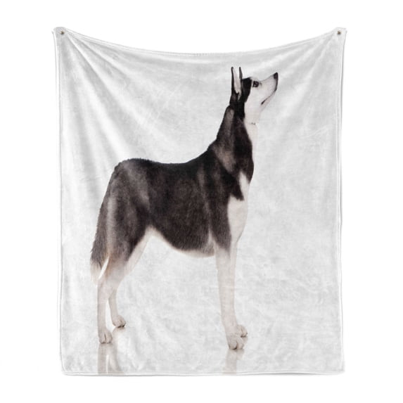 Alaskan Malamute Soft Flannel Fleece Blanket, Alaskan Animal Arctic Canine Mammal Obedient Companion Portrait Purebred, Cozy Plush for Indoor and Outdoor Use, 50" x 60", Black White, by Ambesonne