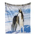thumbnail image 1 of Alaskan Malamute Soft Flannel Fleece Blanket, Chukchi Husky Breed Dog on Snow Covered Rural Winter Landscape, Cozy Plush for Indoor and Outdoor Use, 50" x 60", Black White Pale Blue, by Ambesonne, 1 of 6