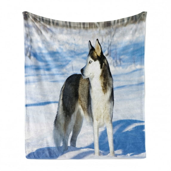Alaskan Malamute Soft Flannel Fleece Blanket, Chukchi Husky Breed Dog on Snow Covered Rural Winter Landscape, Cozy Plush for Indoor and Outdoor Use, 50" x 60", Black White Pale Blue, by Ambesonne
