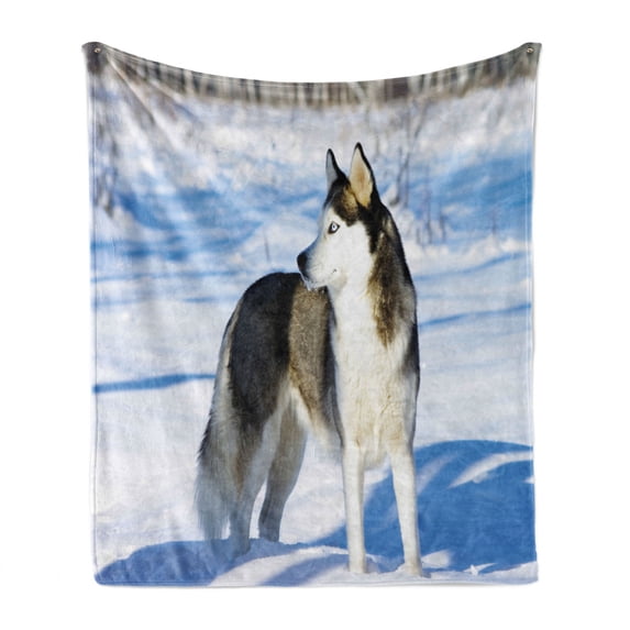 Alaskan Malamute Soft Flannel Fleece Blanket, Chukchi Husky Breed Dog on Snow Covered Rural Winter Landscape, Cozy Plush for Indoor and Outdoor Use, 50" x 70", Black White Pale Blue, by Ambesonne