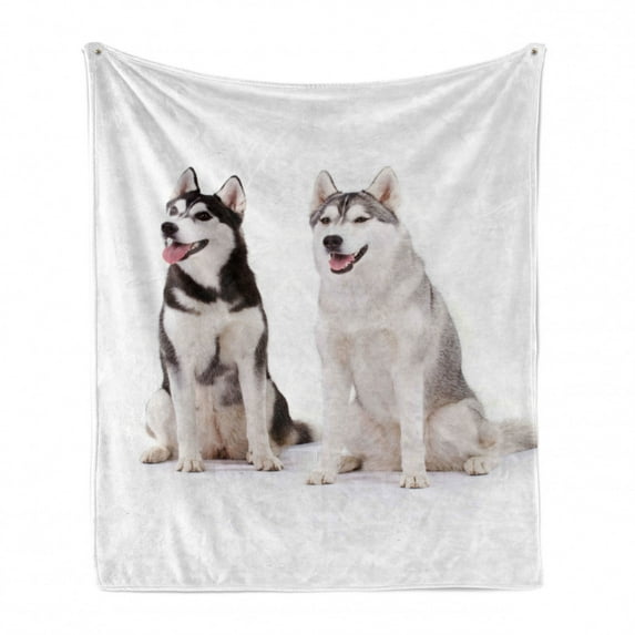Alaskan Malamute Soft Flannel Fleece Blanket, Furry Arctic Doggies Husky Whelp Pedigree Pet Happy Siberian Mammal, Cozy Plush for Indoor and Outdoor Use, 50" x 60", Black Cream White, by Ambesonne