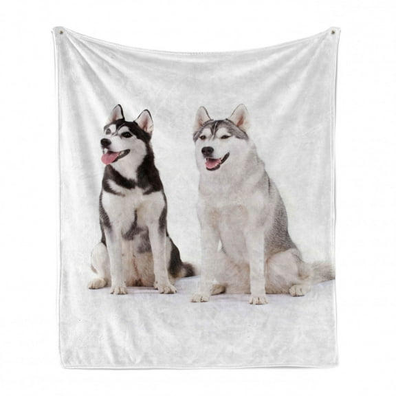 Alaskan Malamute Soft Flannel Fleece Blanket, Furry Arctic Doggies Husky Whelp Pedigree Pet Happy Siberian Mammal, Cozy Plush for Indoor and Outdoor Use, 50" x 70", Black Cream White, by Ambesonne
