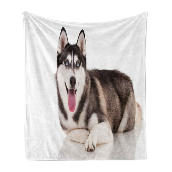 Alaskan Malamute Soft Flannel Fleece Throw Blanket, Funny Siberian Dog Blue Eyes Furry Domestic Canine Image, Cozy Plush for Indoor and Outdoor Use, 50" x 70", Brown Cream White, by Ambesonne