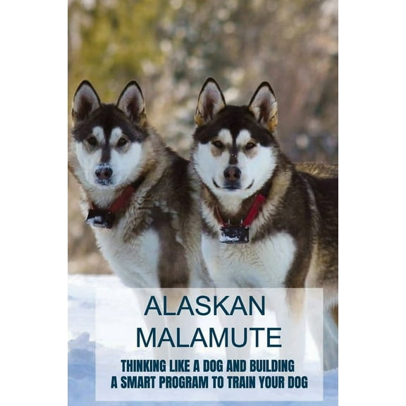 Alaskan Malamute: Thinking Like A Dog And Building A Smart Program To Train Your Dog: Tips For English Foxhound Training