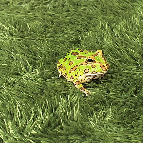 Alasum 2Pcs Artificial Grass Lawn Moss Mats Green Absorbent Comfortable Reptile Carpet