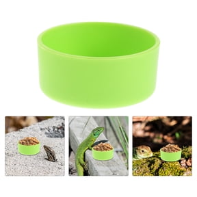 Alasum 30-Piece Green Feeding Dishes for Reptiles, Ideal for Geckos, Bearded Dragons, Tarantulas and More