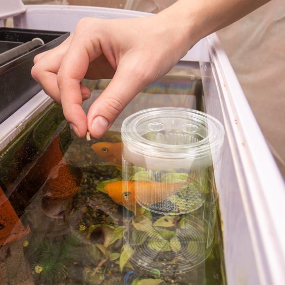 Alasum Clear Acrylic Fish Breeding Isolation Box, Floating Aquarium Hatchery Incubator Container for Fry, Shrimp, Natural Spawning