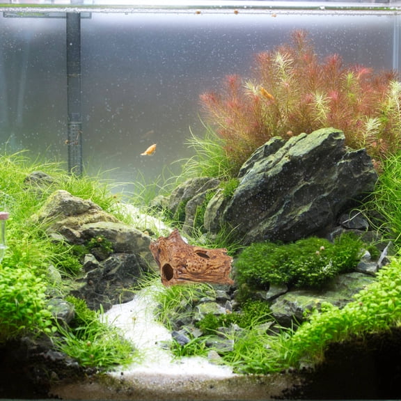 Alasum Betta Fish Tank Ceramic Hide Brown Aquarium Log Shelter for Shrimp Breeding