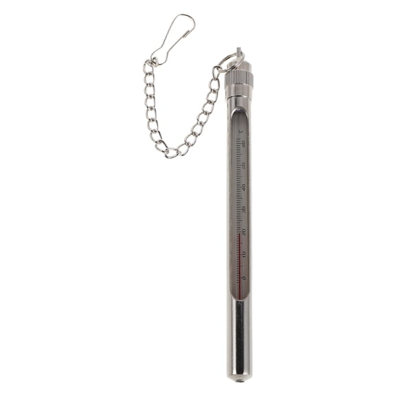 Alasum Floating Water Temperature Gauge for Stream Lake and Pond with Durable Plated Silver Metal Design