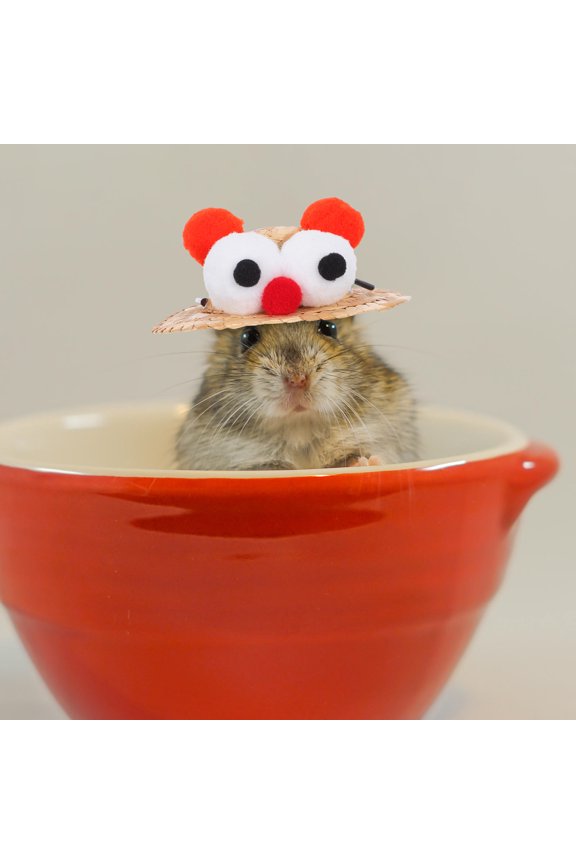 Lightweight Straw Hat for Small Pets Adjustable Design for Hamsters Bunny Bearded Dragons