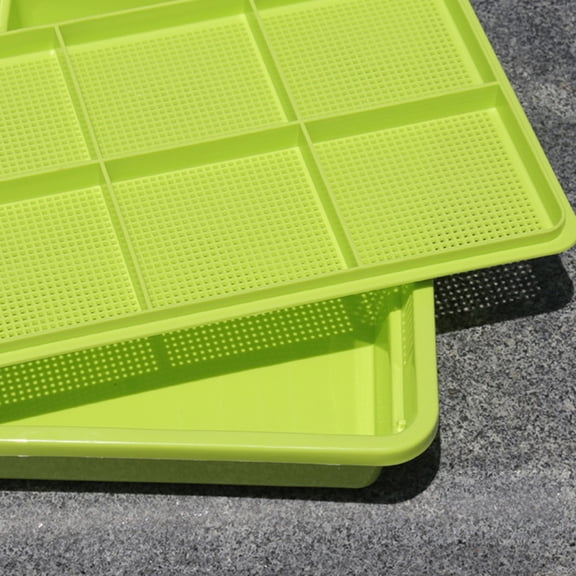 Alasum Planting Growing Tray in Green with Double Layer Design for Soil Free Sprouting and Storage