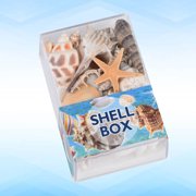 Alasum Natural Seashell Ornaments Coastal Sea Conch Shell Crafts for Living Room and Beach Home Decoration 8 x 3.1 Inches