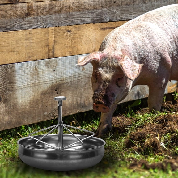 Alasum Animal Feeding Trough Piglet Feeding Trough Silver Stainless Steel 1Pack