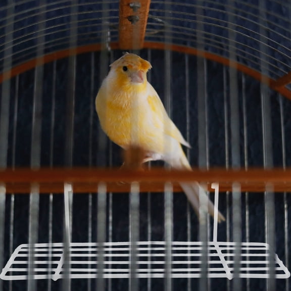 Alasum White Iron Parrot Stand for Cage Stable Chew Resistant Bird Perch