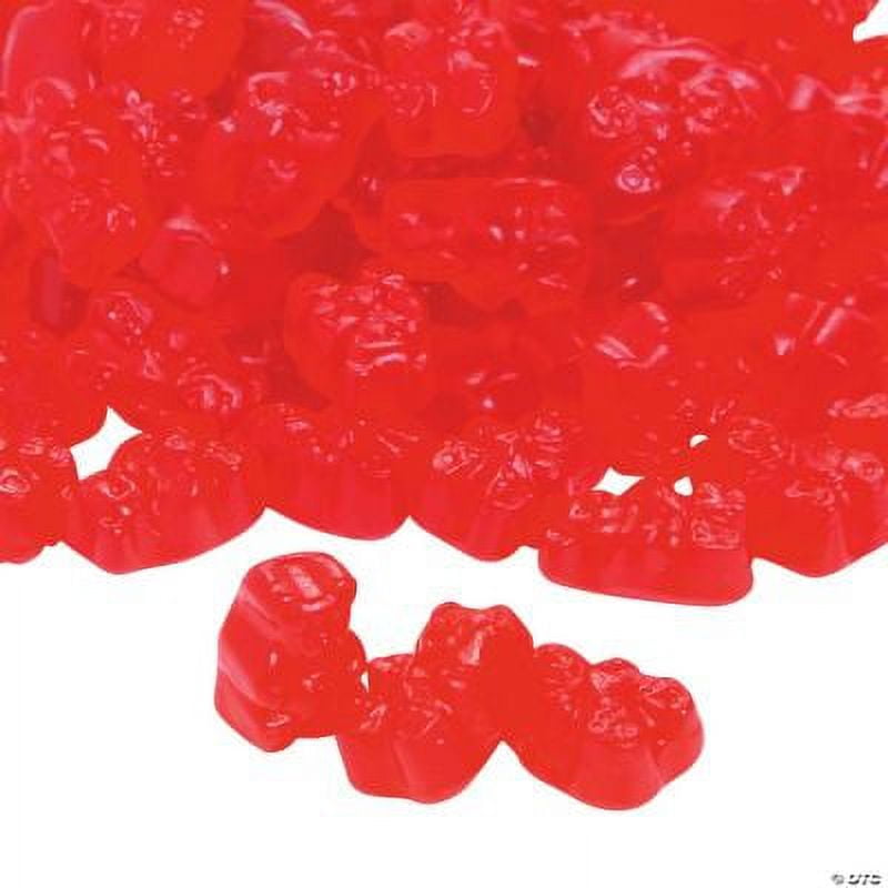  The Huge Gummy Bear, Cherry Flavored Giant Gummy Bear, 5  Pounds : Grocery & Gourmet Food