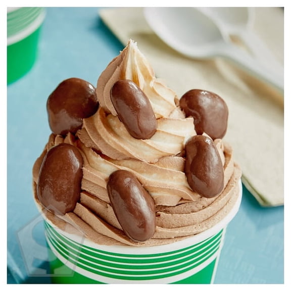 Albanese Milk Chocolate Covered Pecans 10 lb.