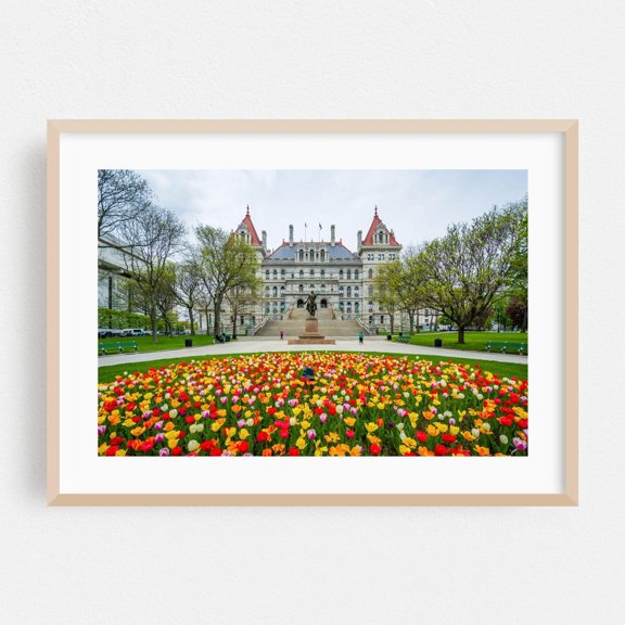 Albany New York Floral Architecture Poster Unframed Paper Print