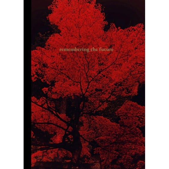 Albarrán Cabrera: Remembering the Future, (Hardcover)
