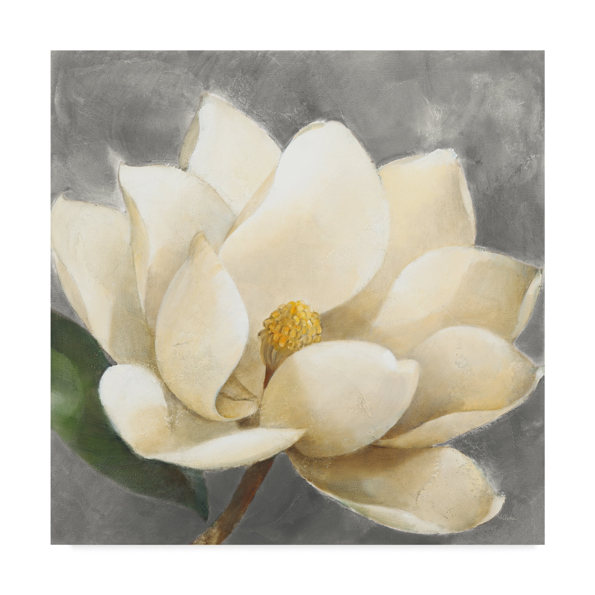 Albena Hristova Magnolia Blossom on Gray Canvas Art, 35x35