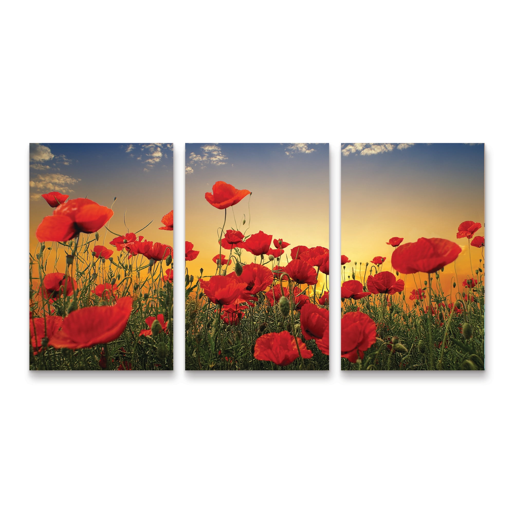 Albena Markova ‘Poppies’ 3 Panel Wall Art Set