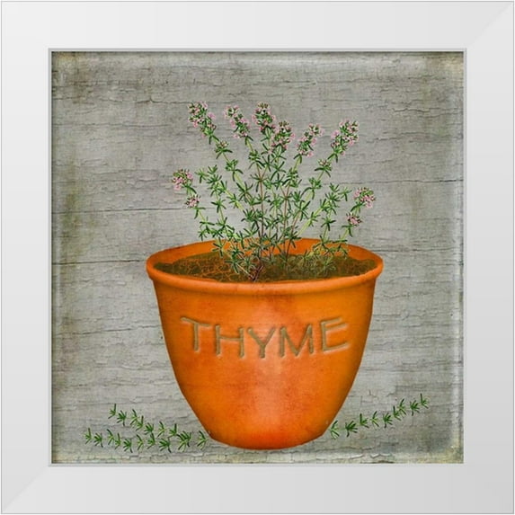 Albert, Beth 12x12 White Modern Wood Framed Museum Art Print Titled - Herb Thyme