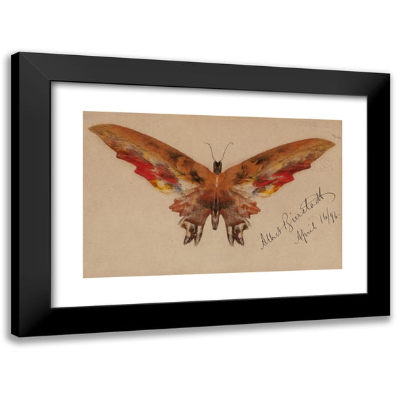 Albert Bierstadt 14x11 Black Modern Framed Museum Art Print Titled - Butterfly (1896)