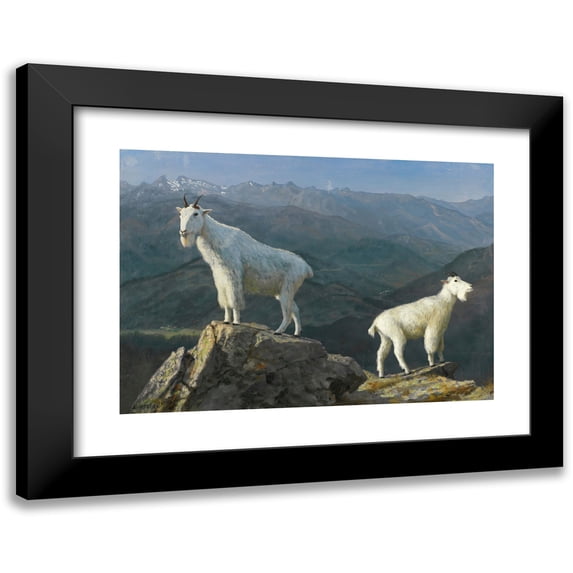 Albert Bierstadt 24x18 Black Modern Framed Museum Art Print Titled - Mountain Goats