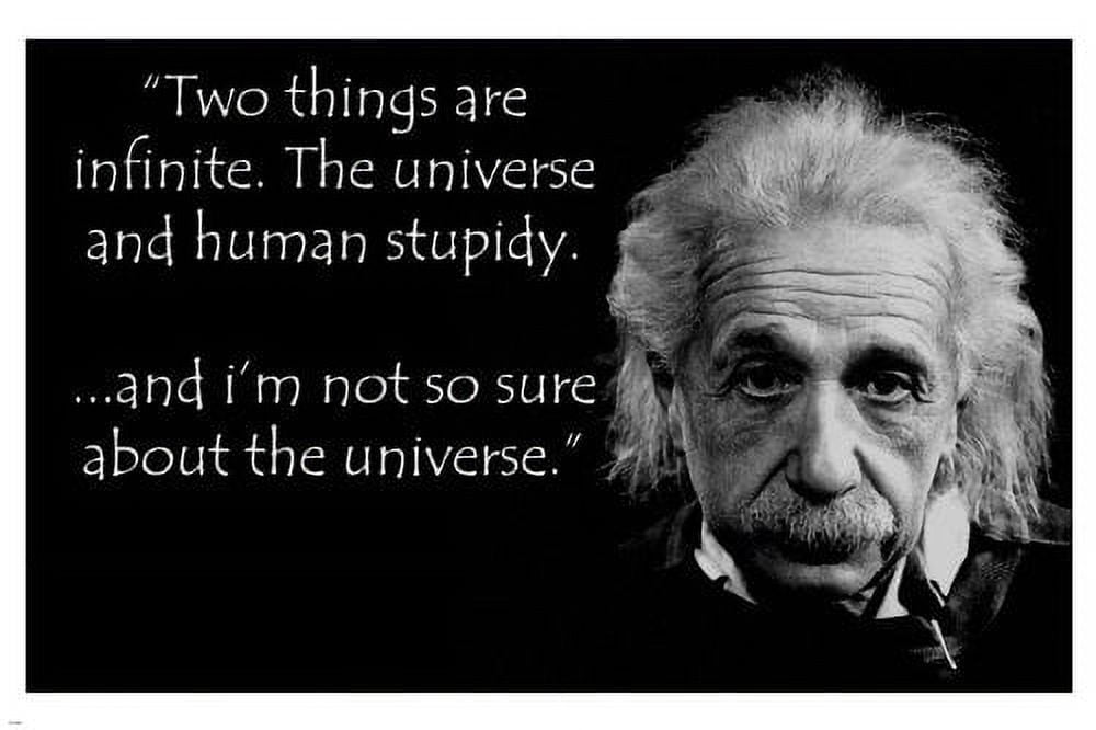 Albert Einstein Human Stupidity Quote Poster 20x30 Funny Inspirational New