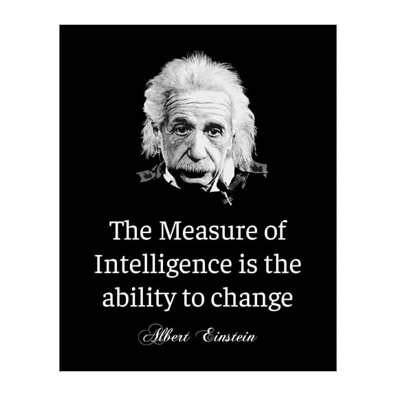 Albert Einstein Motivational Quotes Wall Art Print - Philosophical Decor for School, Office, Library & Study Room Wall Art Poster - Thoughtful Gift Inspirational Spaces