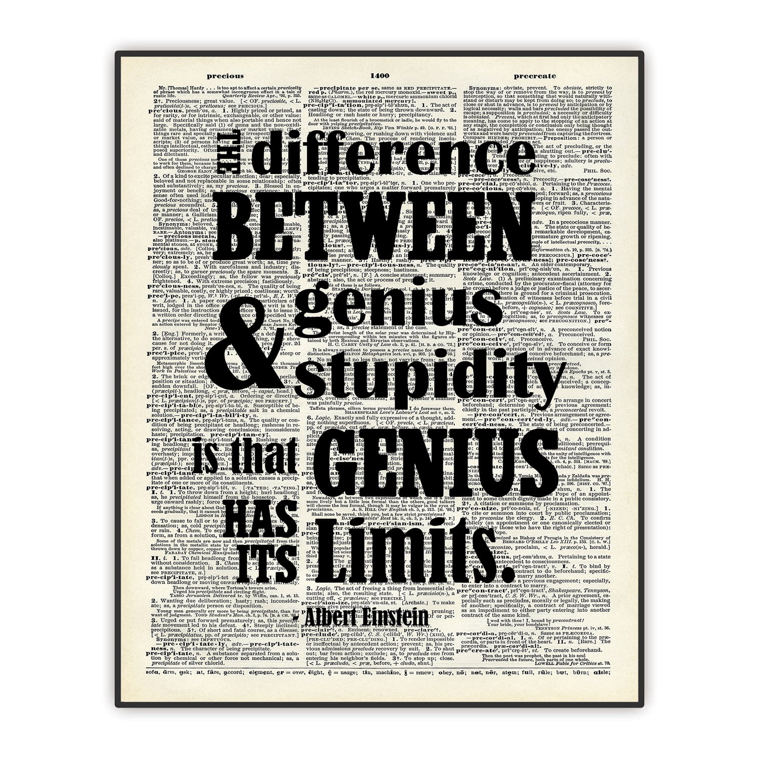 Albert Einstein Quote, Funny Quote, Ispirational Wall Decor, Dictionary ...
