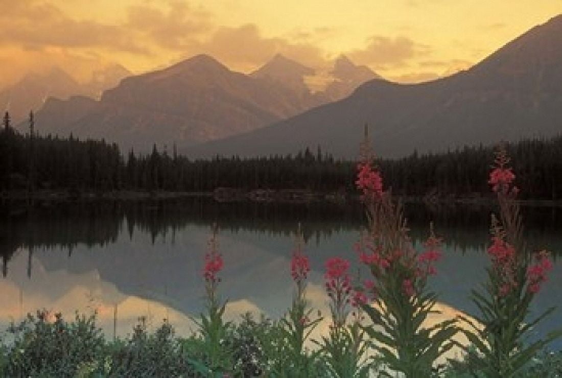 Alberta Banff Lake Herbert Canadian Rockies Canvas Art - Jaynes Gallery DanitaDelimont (36 x 24)