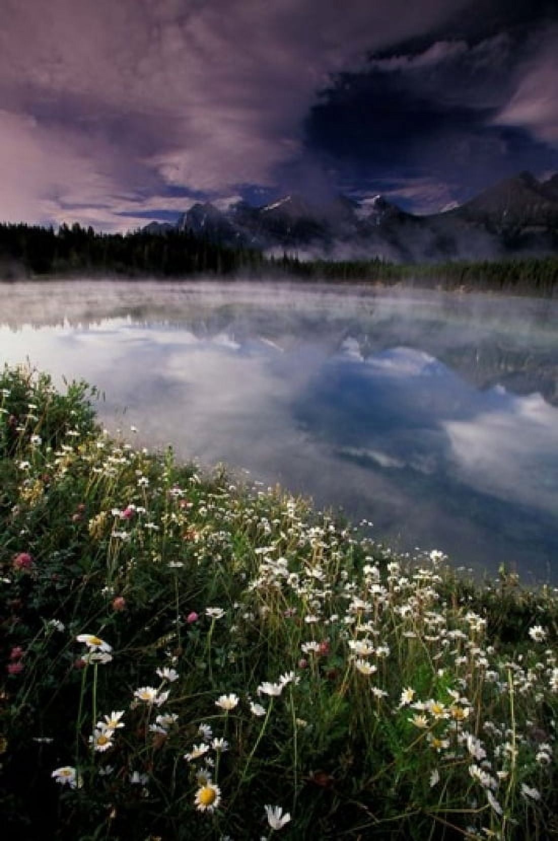 Alberta Banff National Park Lake Maligne Canvas Art - Gavriel Jecan DanitaDelimont (24 x 36)