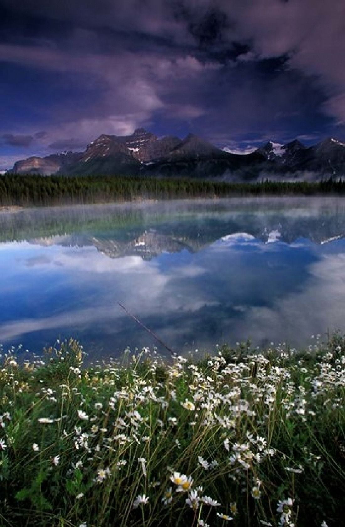 Alberta Banff National Park Lake Maligne wildflowers Canvas Art - Gavriel Jecan DanitaDelimont (24 x 36)
