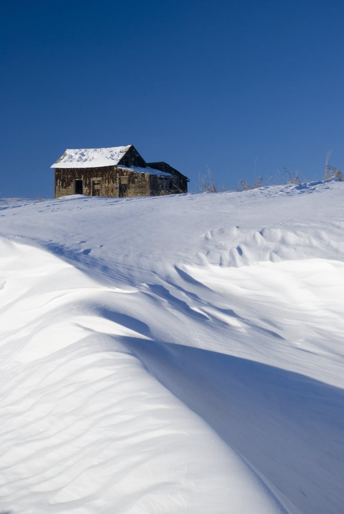 Alberta Canada Abandoned Farm Building Atop A Snowy Hill Canvas Art - Philippe Widling Design Pics (22 x 34)