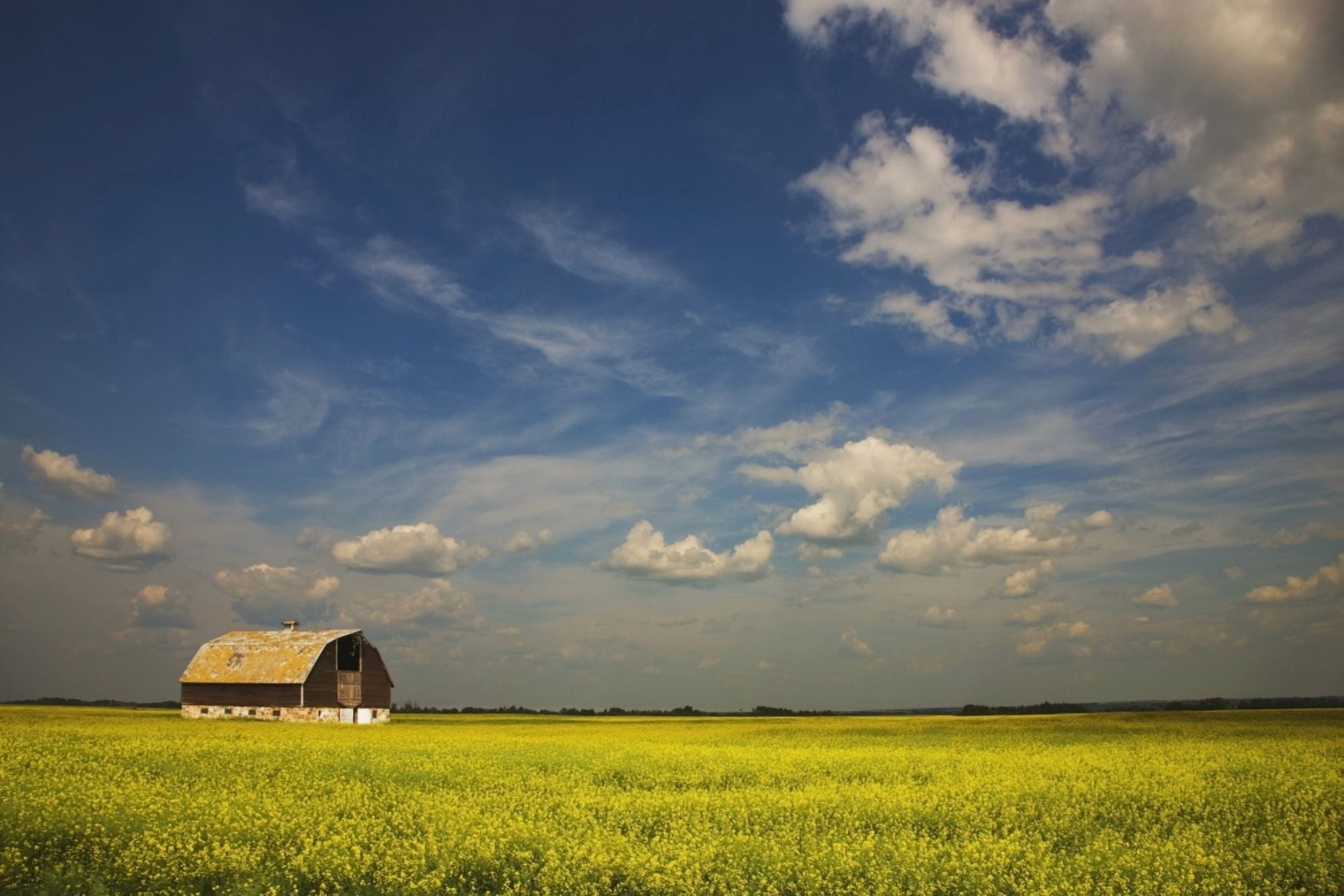 Alberta Canada An Old Barn In A Field Canvas Art - Darren Greenwood Design Pics (38 x 24)