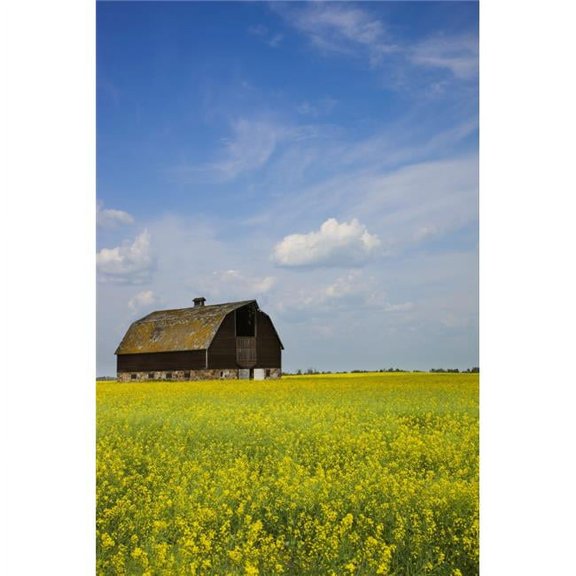 Alberta, Canada - An Old Barn In A Field Poster Print, 24 x 38 - Large