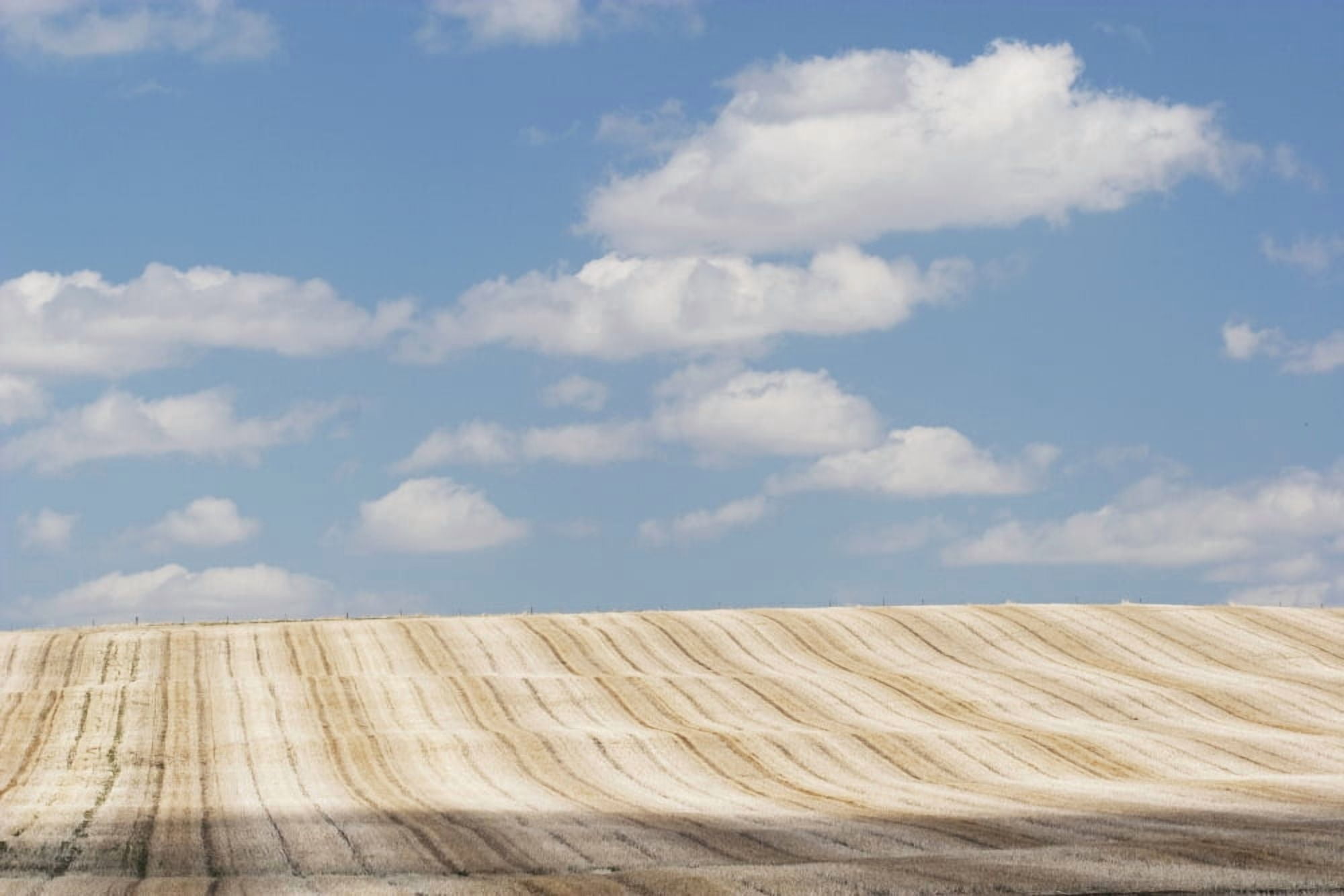 Alberta Canada Cut Brown Field With Clouds In The Sky Canvas Art - Michael Interisano Design Pics (38 x 24)
