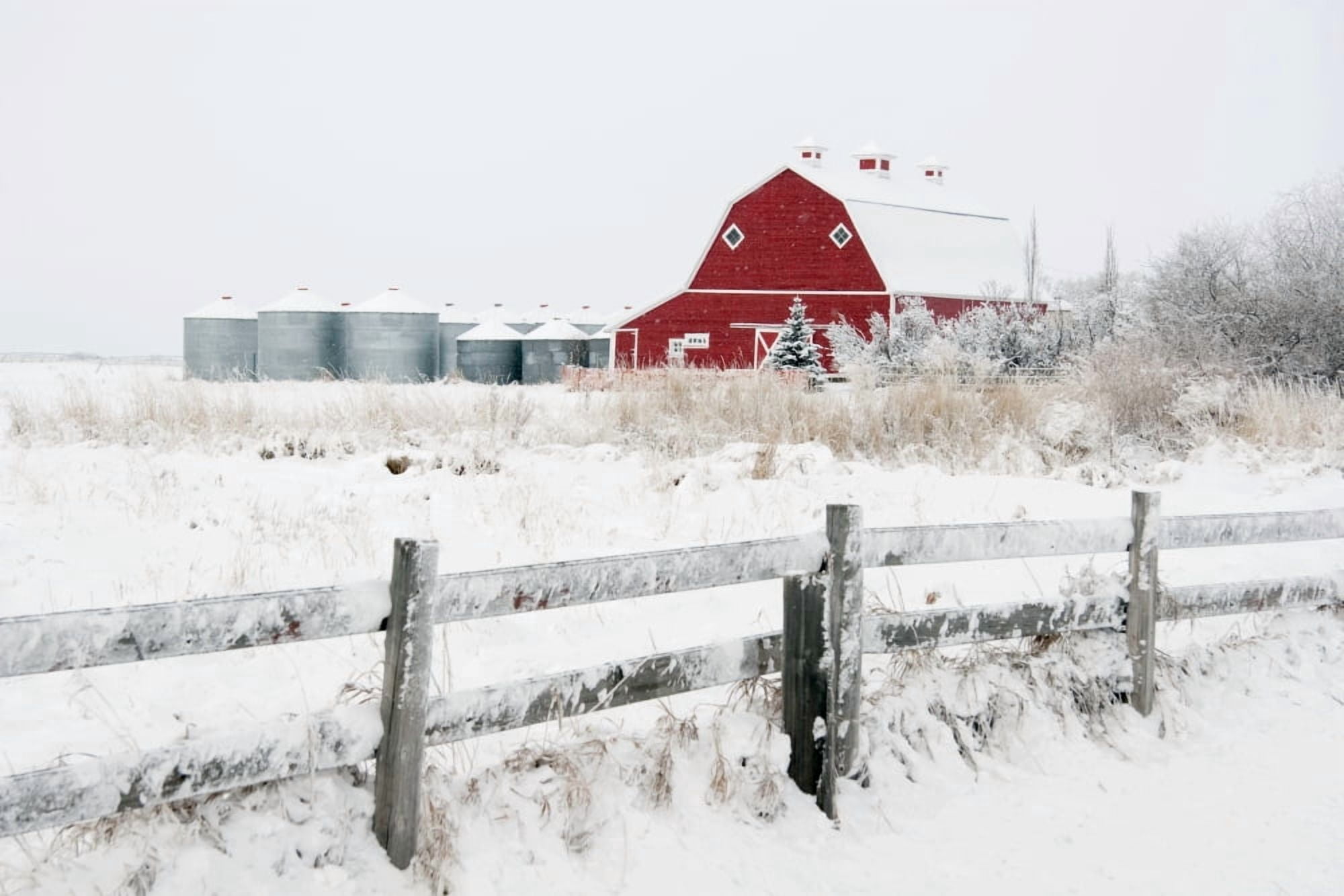 Alberta Canada Farm Yard With A Red Barn And Metal Grain Bins In Winter Canvas Art - Michael Interisano Design Pics (38 x 24)