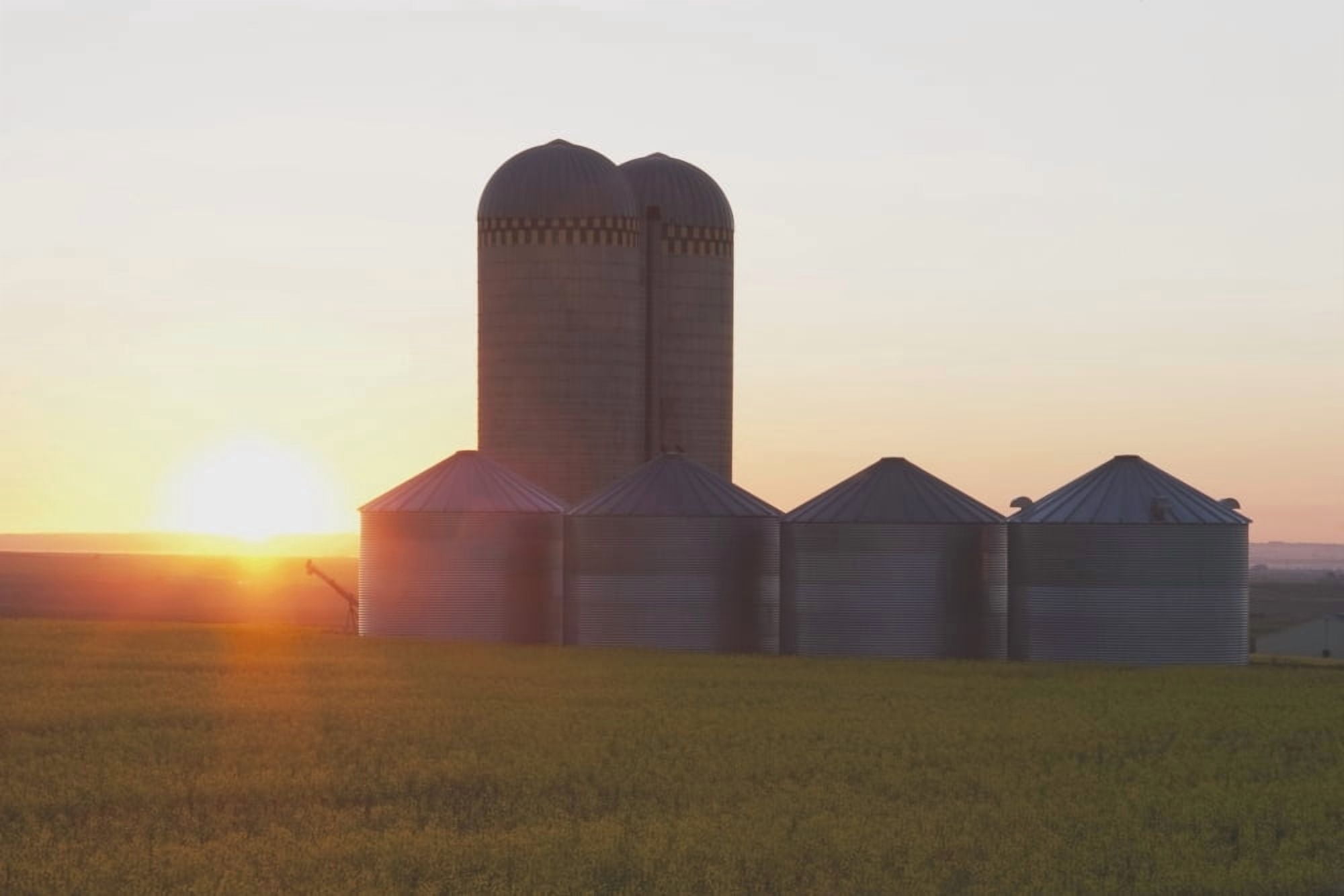 Alberta Canada Grain Bins At Sunrise Canvas Art - Michael Interisano Design Pics (38 x 24)