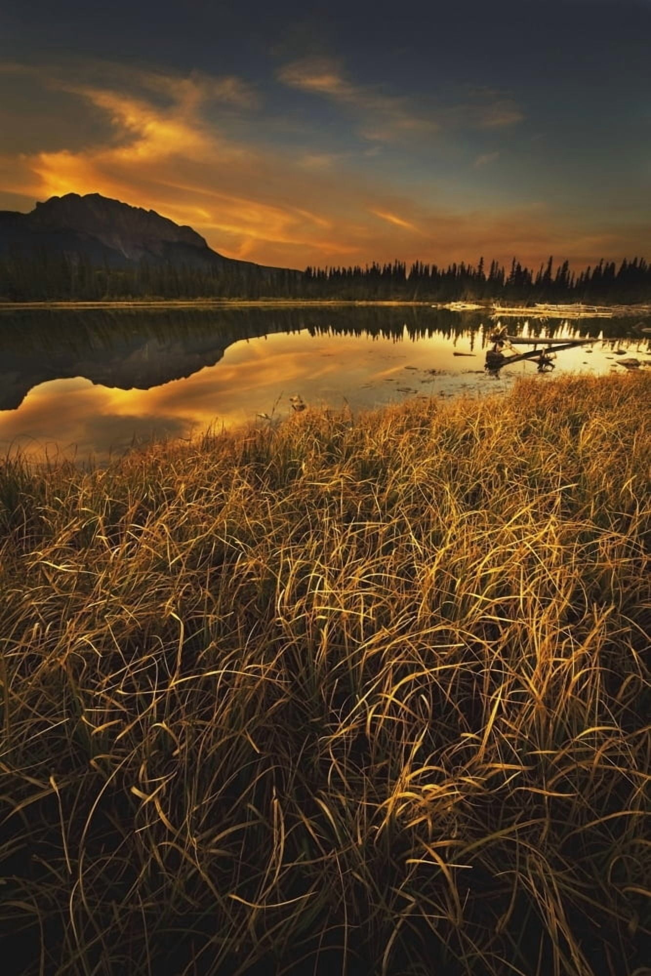 Alberta Canada Sunset Over A Lake And Mountains Canvas Art - Darren Greenwood Design Pics (12 x 19)