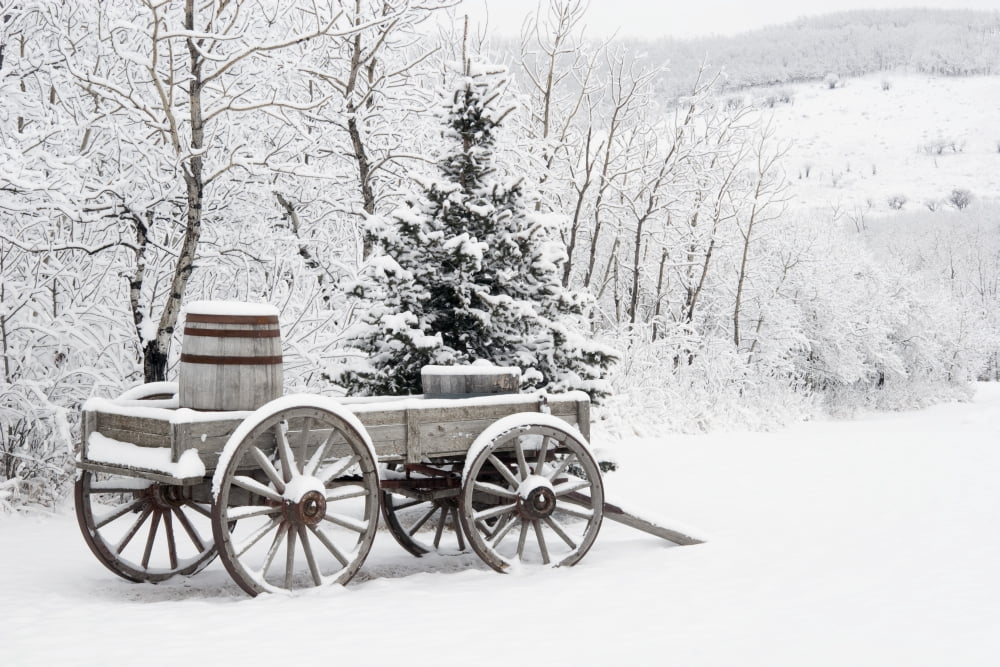 Alberta Canada Wooden Wagon And Trees Covered In Snow Canvas Art - Michael Interisano Design Pics (38 x 24)