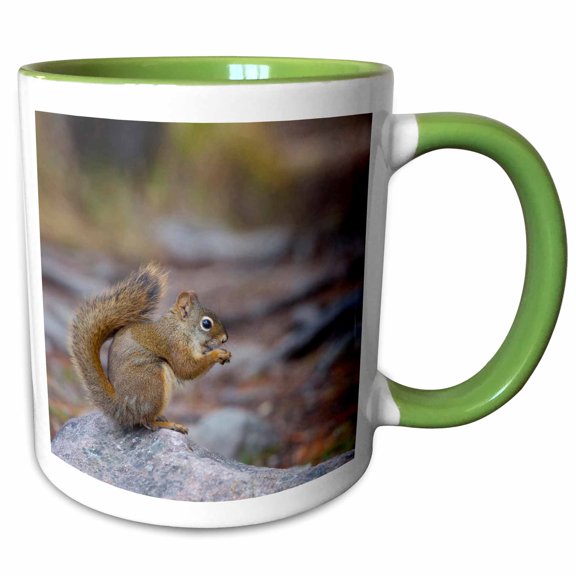 3drose, Alberta, Douglas Squirrel Wildlife on a Rock Eating - Na02 Glu0000 - Gary Luhm, 11oz Two-tone Green Mug