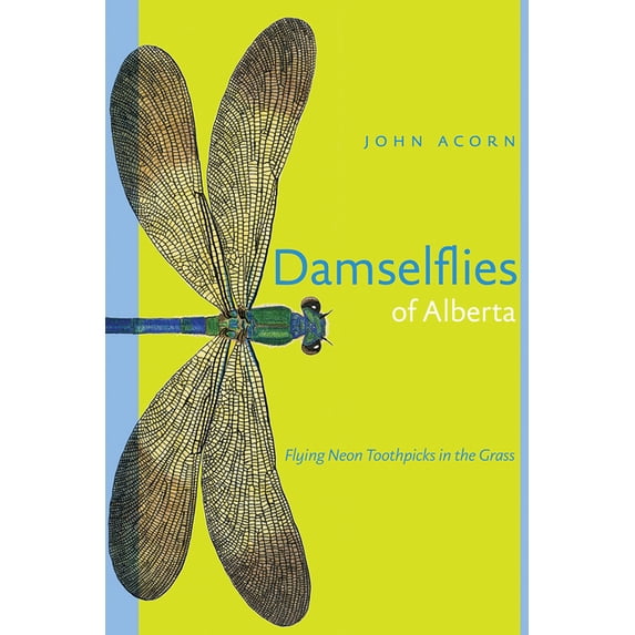 Alberta Insects: Damselflies of Alberta : Flying Neon Toothpicks in the Grass (Paperback)