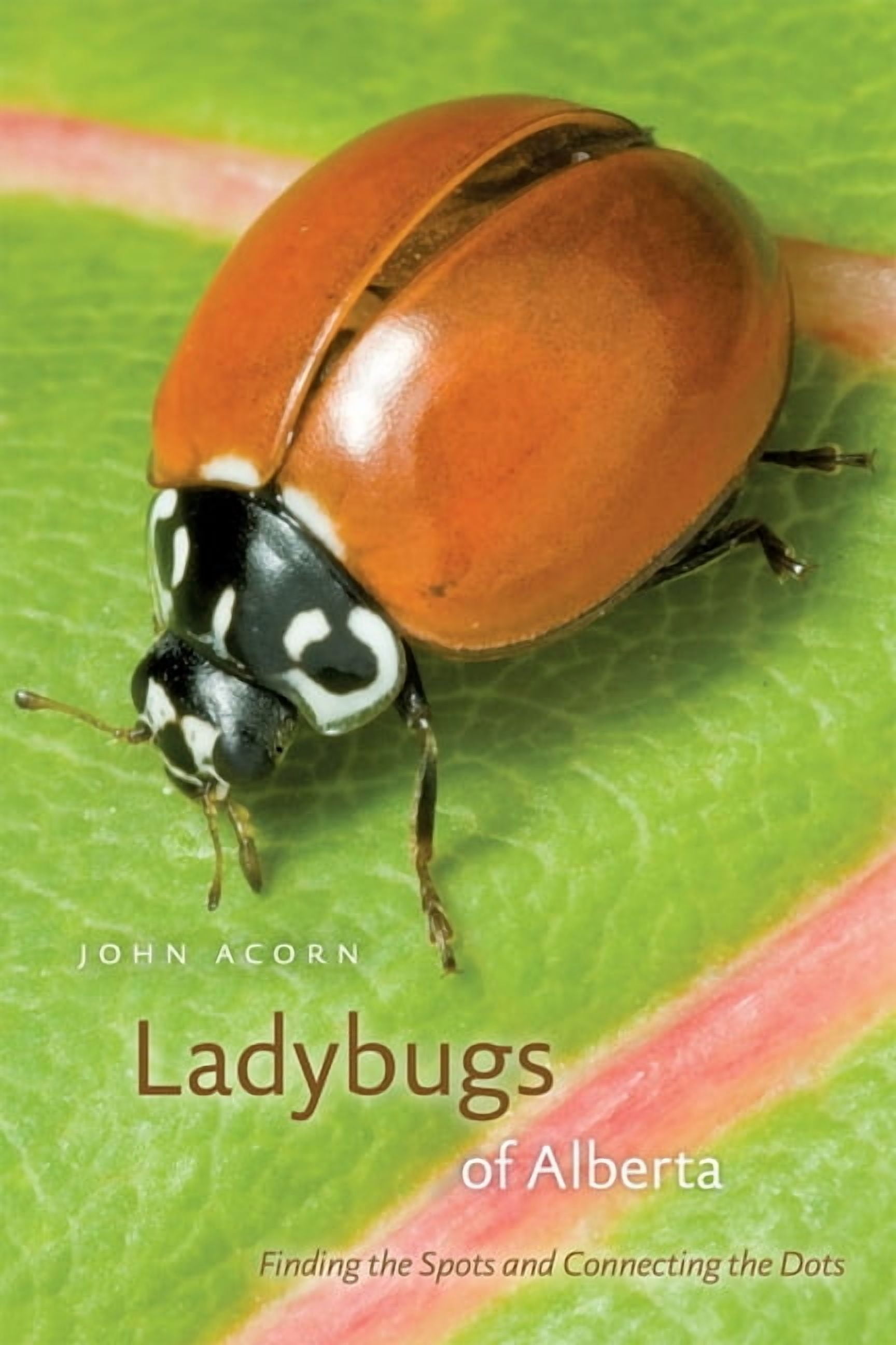 Alberta Insects Ladybugs of Alberta, (Paperback) - Walmart.com