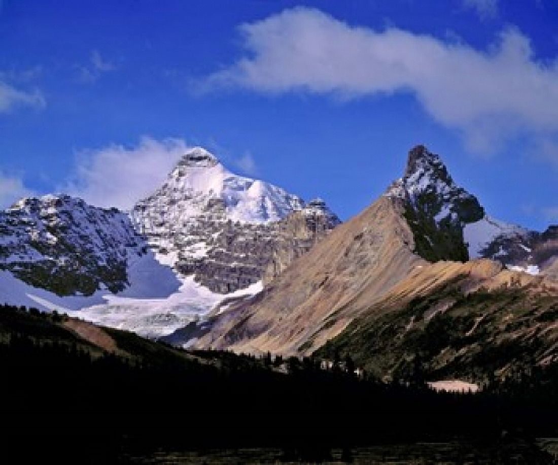 Alberta Mt Saskatchewan Banff NP Canvas Art - Ric Ergenbright DanitaDelimont (26 x 22)