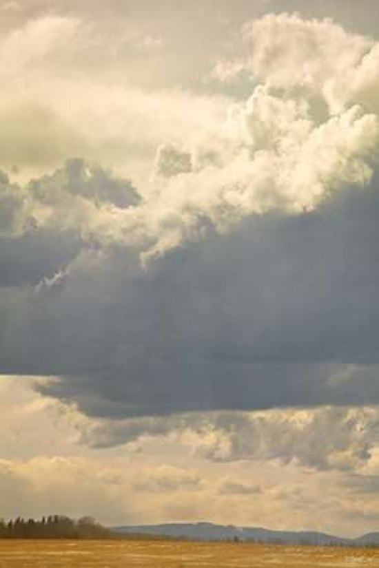 Alberta Sky Canvas Art - Roberta Murray (20 x 28)