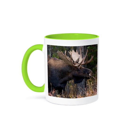 3dRose, Alberta Wildlife, Shiras Bull Moose, 15oz Two-Tone Green Mug
