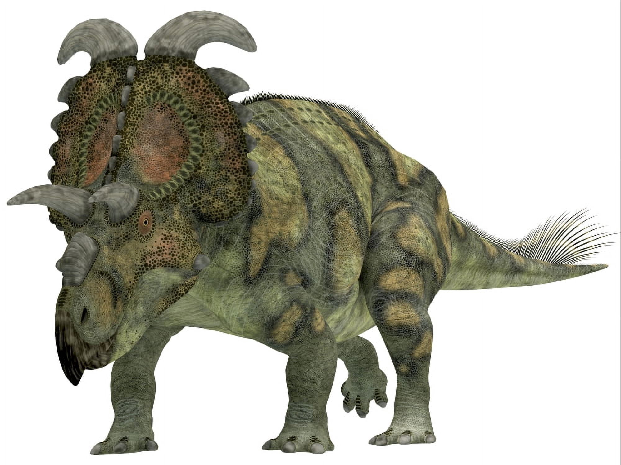 Albertaceratops dinosaur Canvas Art - Corey FordStocktrek Images (17 x 13)